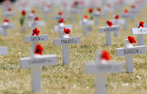 Flanders Fields Poppies on soldiers' graves in Flanders Fields