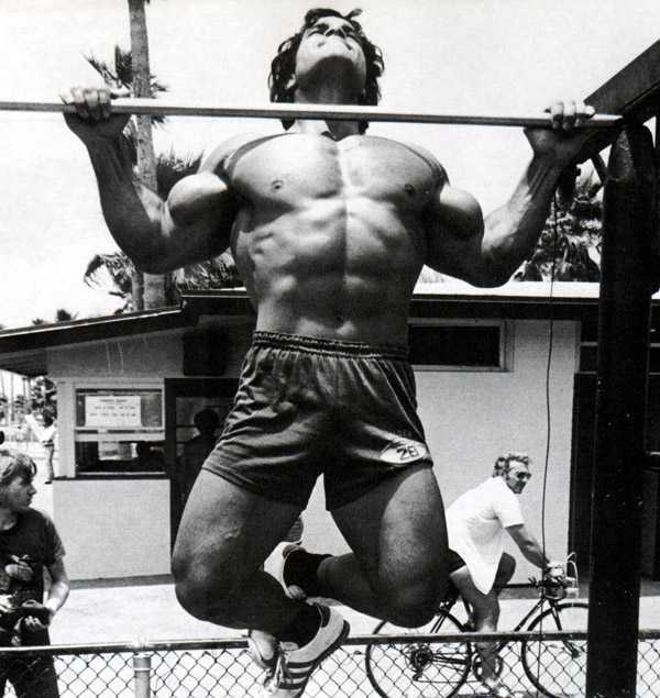 muscles-pull-ups